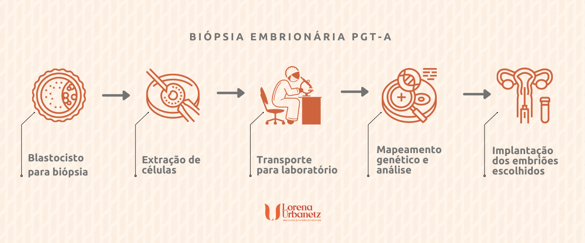 Como funciona o teste de biópsia embrionária PGT-A na Fertilização in Vitro